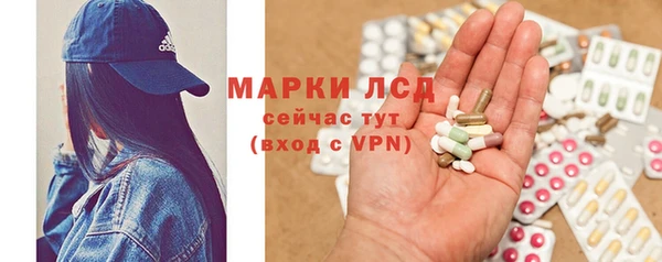 прущий лед Алзамай
