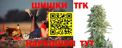 мдпв Славгород