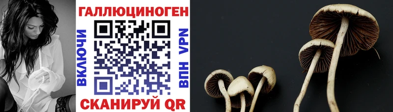 Галлюциногенные грибы MAGIC MUSHROOMS  цена наркотик  Углич 