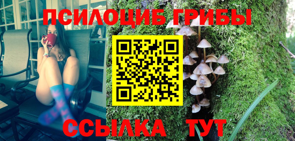 Углич  Галлюциногенные грибы Magic Shrooms  Вход с VPN 